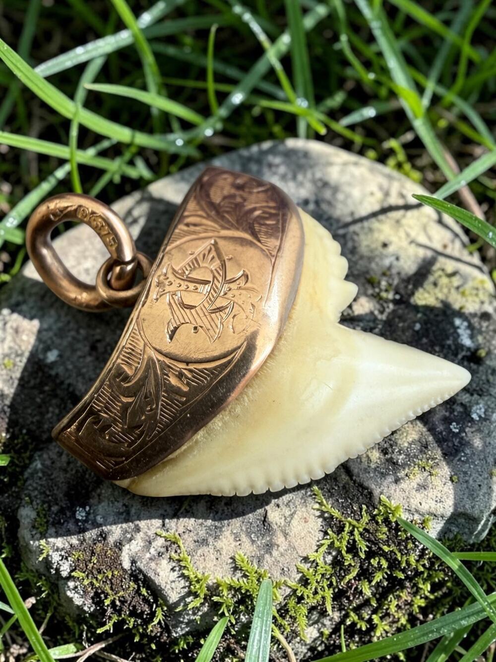 Vintage 9ct Gold Shark Tooth Pendant - Picture 5 of 7